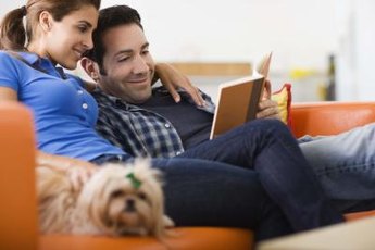 Your couch often seems to belong more to your dog than you.