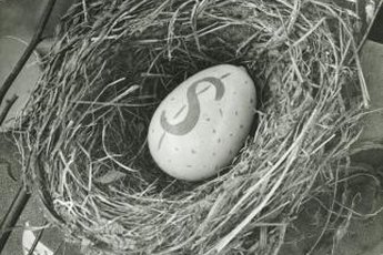 A TSP can serve as your retirement nest egg.
