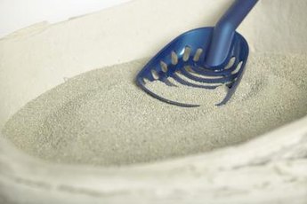 Different factors affect how odor lingers in your cat's litter box.