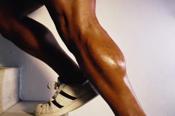 Starches are stored in muscles as glycogen and used for exercise.