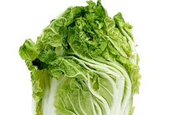 Napa cabbage is the best vegetable source of zinc.