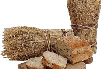 Wheat, barley, rye and oats contain most of the gluten found in our diets.