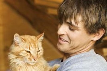 Electronic tracking devices can help reunite you with your lost cat.