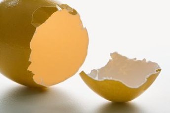 Eggshell offers a highly absorbable form of calcium.