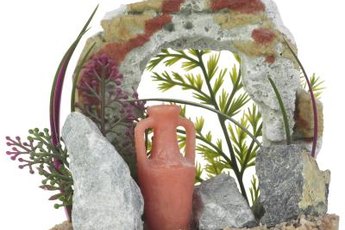 Protozoans and bacteria can form spores that survive dessication on aquarium decorations.