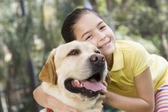 Labs are on the list of kid-friendly dog breeds.