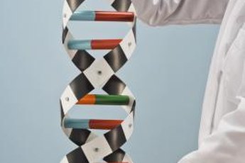 Clinical geneticists treat patients with genetic illnesses.