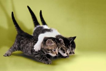 "We just got vaccinated."