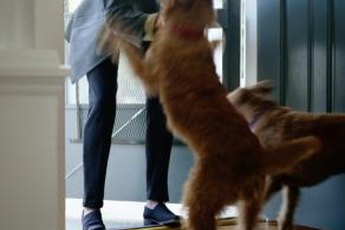 If puddles are a part of your greeting, it's time to change how you say hello.