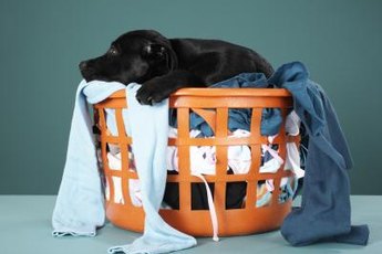 My best bud's adoze in the duds.