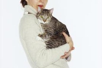 Love is mutual between felines and their people.