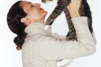 Cats become emotionally attached to their owners.