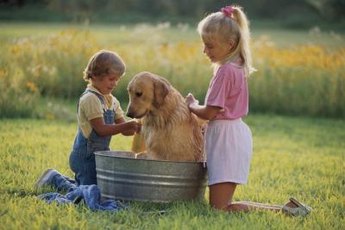 Glycerine shampoo cleans and soothes your dog's skin.