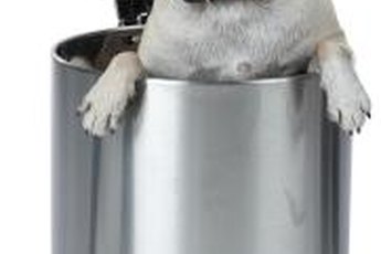 Keep your trash can closed and far away from your pooch.