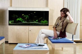 From minimalist colors to intense imagery, your aquarium background can be practical as well as pretty.
