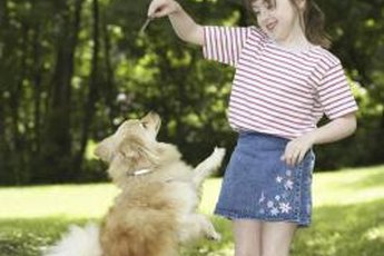 Homemade dog chews are fun for your dog.