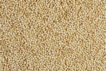 Quinoa is a tasty and versatile gluten-free grain substitute.