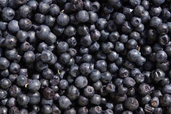 Herbal tea from blueberries is delicious and healthy.
