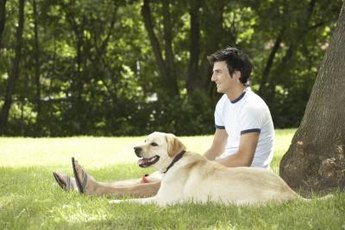 Supervise your pooch around any mulch so he doesn't eat it.
