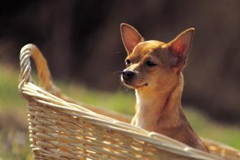 "I am physically injured ... I am NOT a basket case."