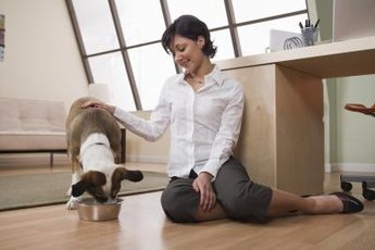 That food could be the cause of your pooch's allergies.