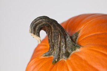 Canned pumpkin can ease diarrhea.