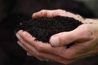 Compost is a productive fertilizer that enriches the soil.