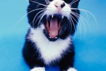 Say "Ahh."