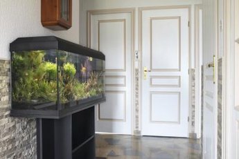 You might need different light colors for aquarium plants.