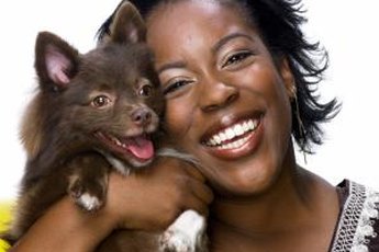 Love your dog without being covered in her hair.
