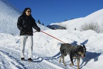 Walking a dog in harsh weather conditions requires dog shoes.
