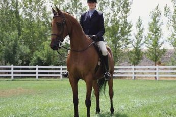 Balimo exercises help riders stay balanced on their horse.