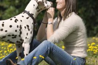 Canines are famously loving creatures.
