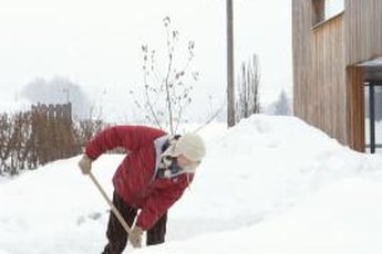 Magnesium, calcium and other ice melt compounds are not pet safe.