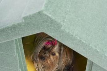 Put toilet training pads in the doghouse during training.