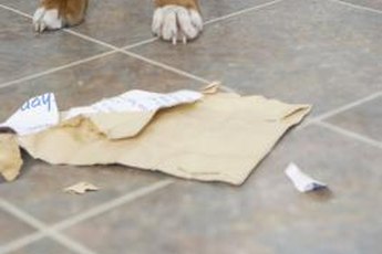 Dogs damage items for many reasons.