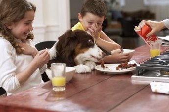Even healthy table food isn't always safe for dogs to eat.