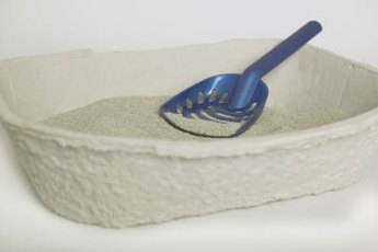 Clumping litter simplifies the task of cleaning out the cat’s box.