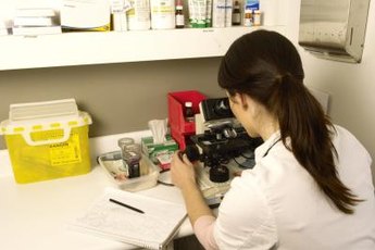 Your veterinarian will examine skin samples to determine the problem.