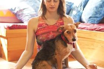 Your dog doesn't need yoga to find some inner peace.