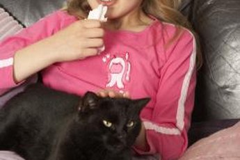 Girl cats tend to produce less allergens than males do.