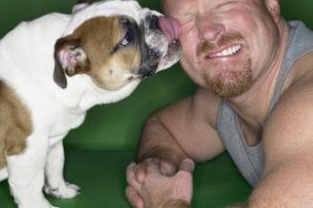 Licking human faces is a common and functional dog behavior.