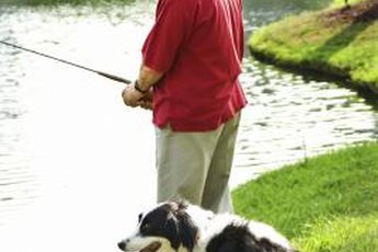 Keep your pooch's mouth away from that water.