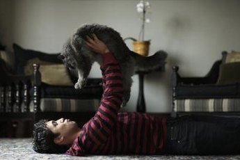 Some cats like hugs more than others.