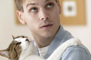 "Just because I'm a cat doesn't mean I don't process emotions."