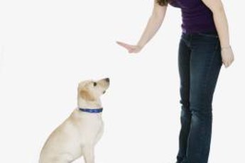 Regular training sessions will help reinforce desired behavior.