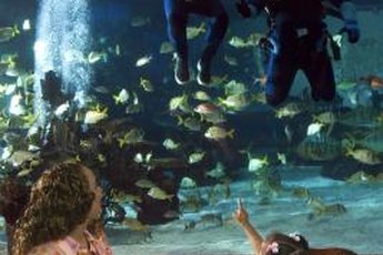 This aquarium has a restaurant theme.