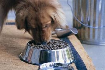 Free-feeding promotes overeating.