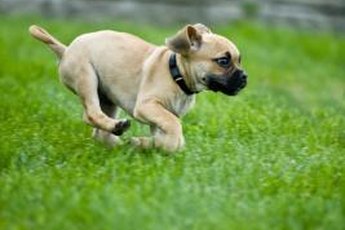 Running is cute, until she's running the wrong way!