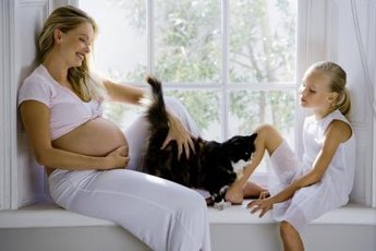A cat scratch isn't necessarily dangerous to a pregnant woman.